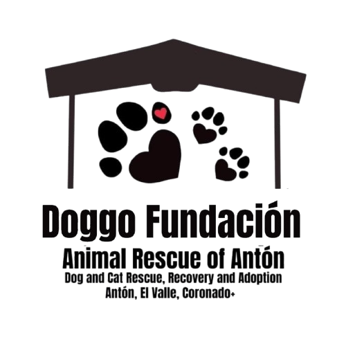 Animal rescue of Anton, Panama